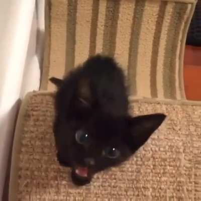 AAAAAAAAA!