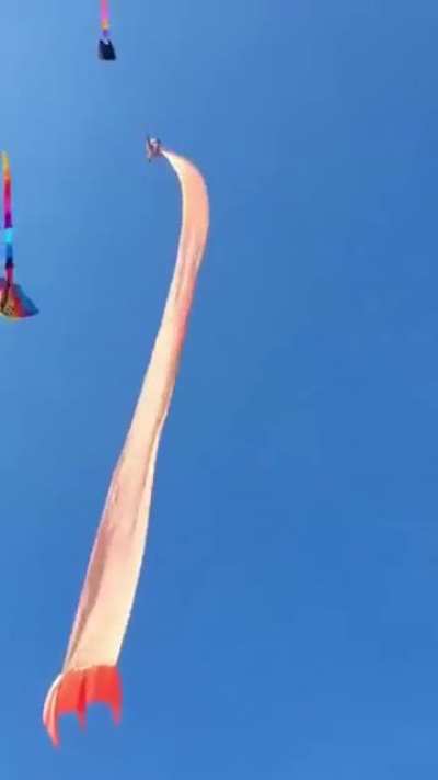 Girl attached to kite flies away