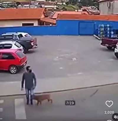 Should&rsquo;ve used the pedestrian crossing
