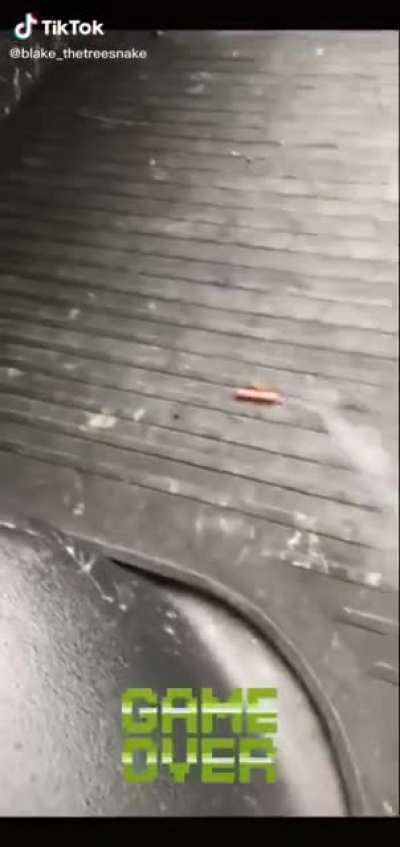 Found on tiktok. He's out here doing the lord's work.