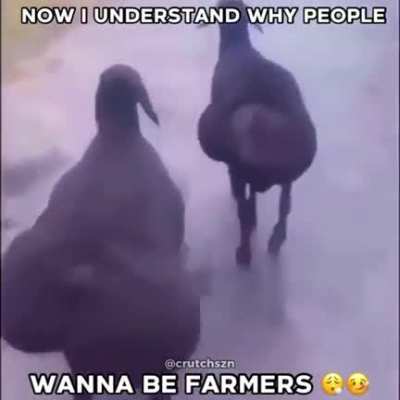 🤤🤤