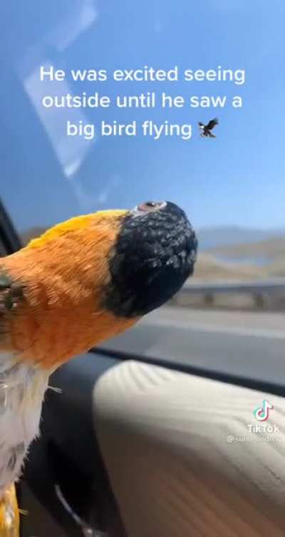 I really had to cut this cutie&rsquo;s scream