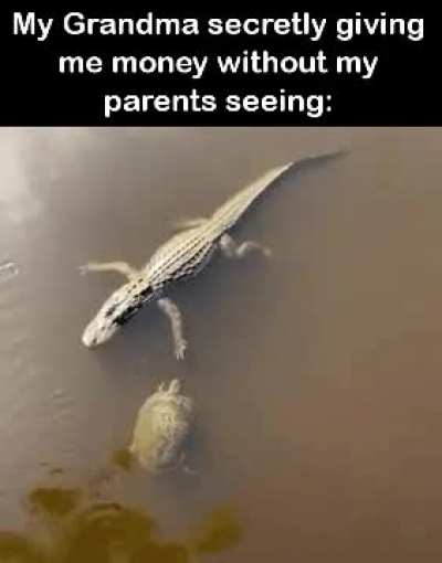 Very cool grandma