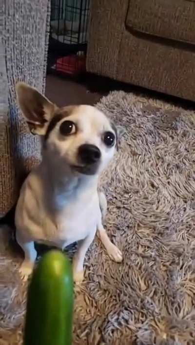 Bamboozled