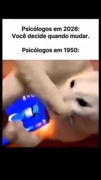 Ver&iacute;dico