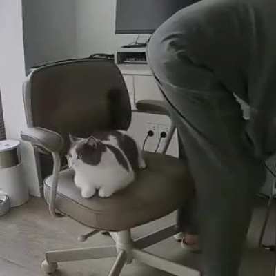 meAAAow