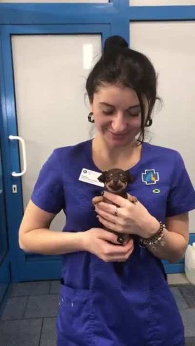 Vet secret