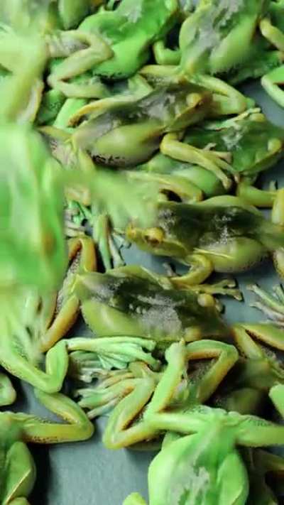 Froggy don't Jiggle Jiggle 🐸