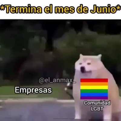 Volv&iacute; basado