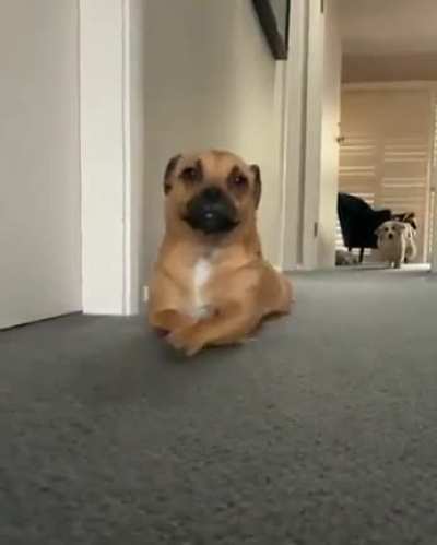 What&rsquo;s he up too?