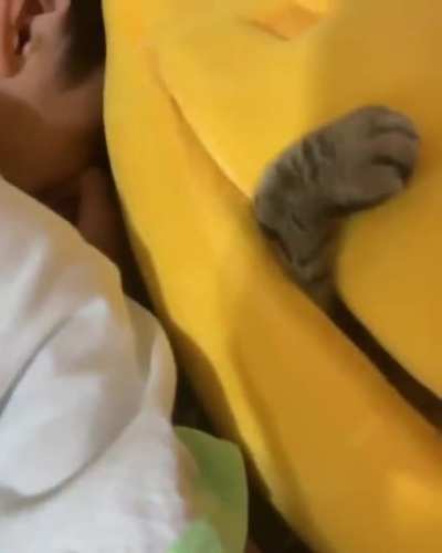 dd