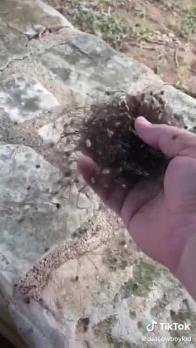 Hope this hasn’t been done here yet. Here’s some physical cringe