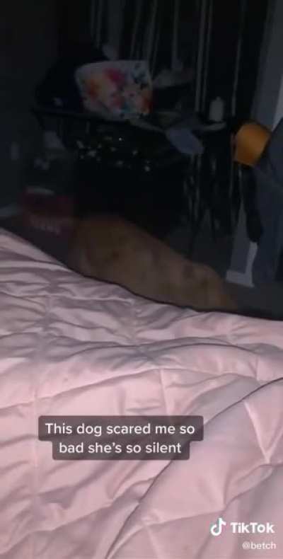 Doggie