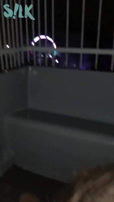 Blowjob and flash at the top of a Ferris Wheel