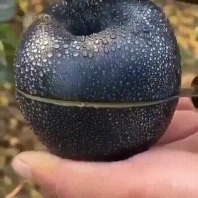 Яблоко сорта Черный алмаз