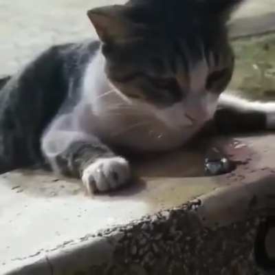 жажда