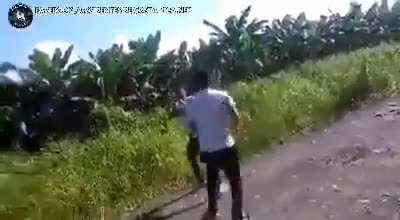 unexpected ending