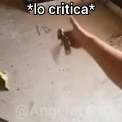 *lo critica*