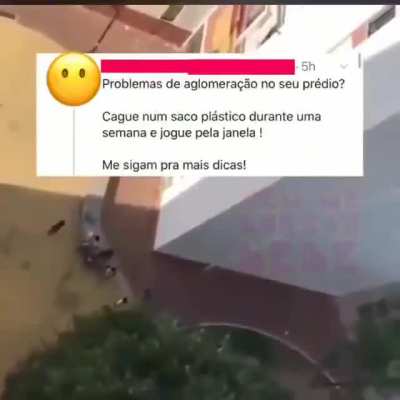 Mintira que fizeram isso