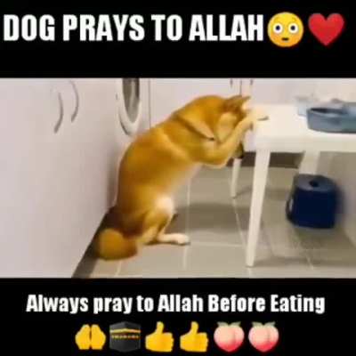 Allah is da real one 🥶🥶😎😎🤤