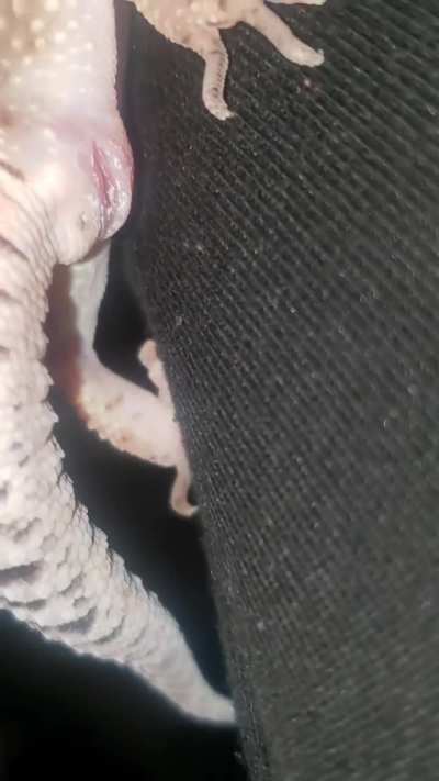 What is this??