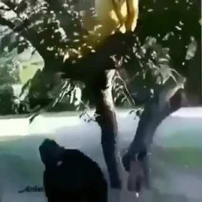 nooooooo!!