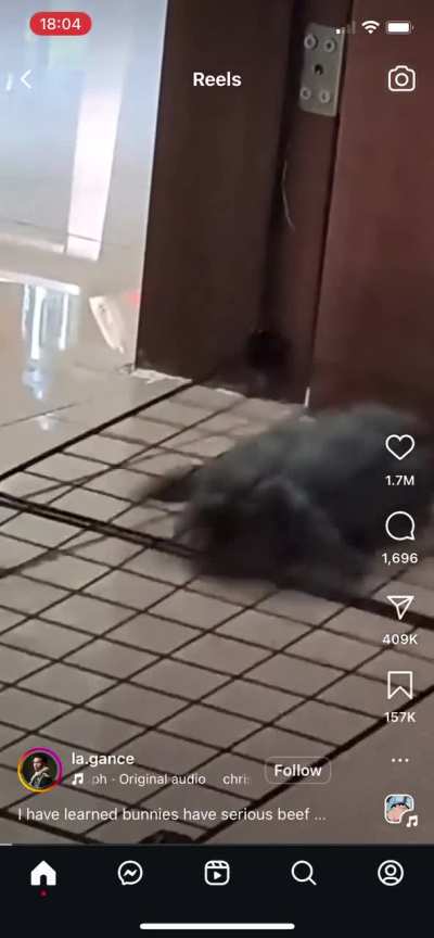 Cute lil&rsquo; Sploot. 