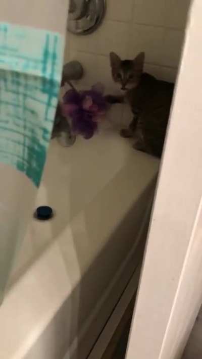 Busted.