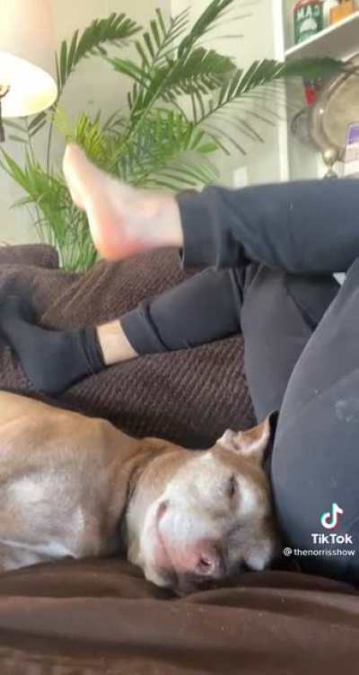 He&rsquo;s only wearing one sock that disgusting.