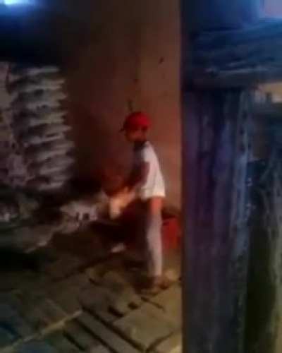 Tavuk