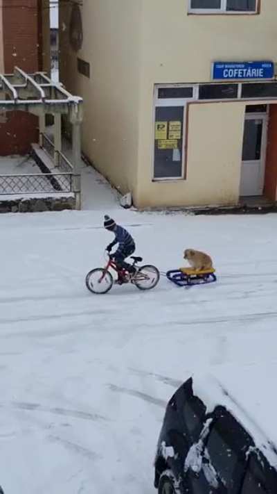 A boy and his dog