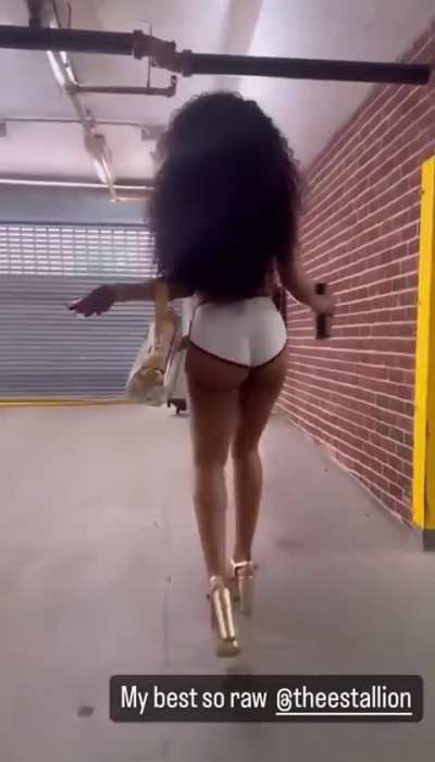 Megan The Stallion 
