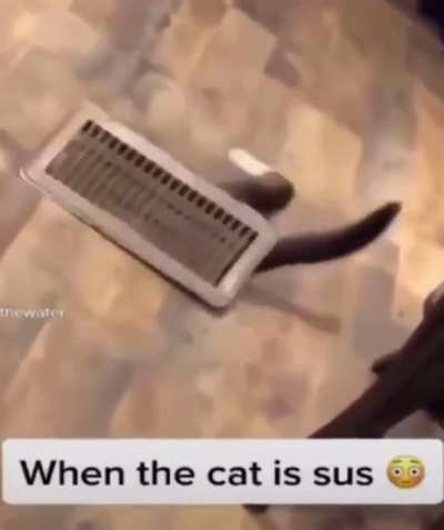 sus