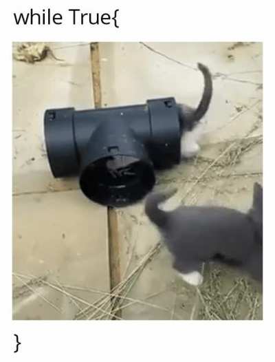 Endless tail chasing loop