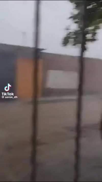 Visitinha durante a chuva 