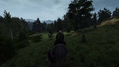 riding/walking in velen.