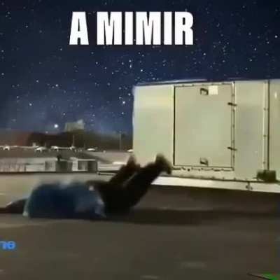 A mimir