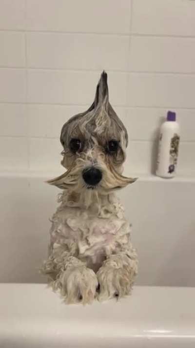 Bath time