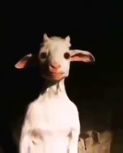 Mi cara cuando, veo un meme de pov mal empleado por, 938293 vez
