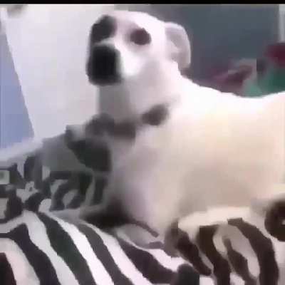O.o