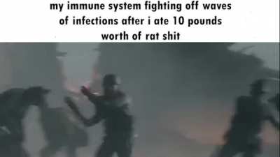 ratshit offensive