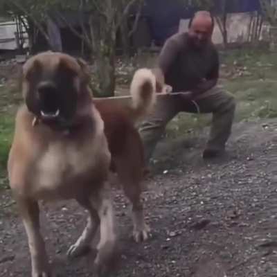 &ldquo;He&rsquo;s just tryin&rsquo; to say hi, he&rsquo;s friendly!&rdquo;