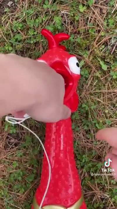 Red chicken go AAAAAAAA