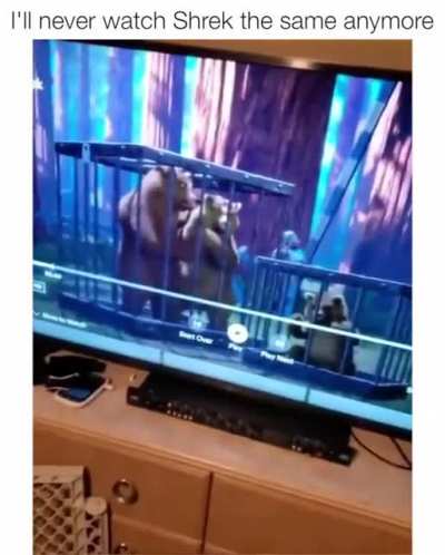 I&rsquo;ll never watch Shrek the same anymore.