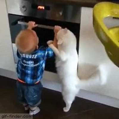 It's not safe little human
