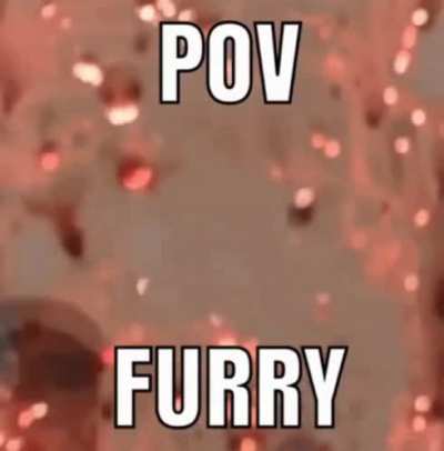 XD