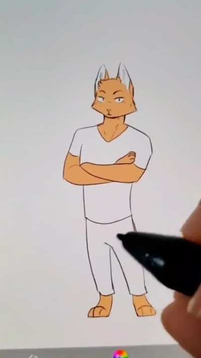 furry_irl