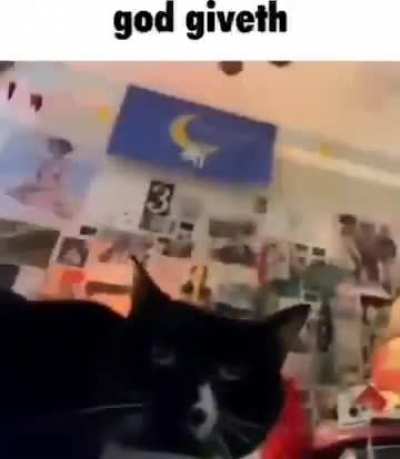 god rule