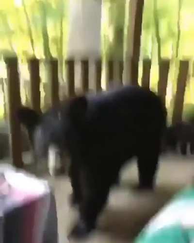 Идиот или стальные яйца?