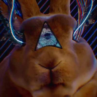 🐇🐇🐇@frankxavierfx